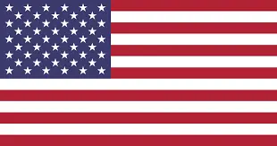 american flag-Detroit