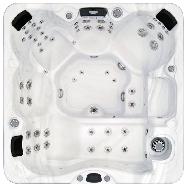 Avalon-X EC-867LX hot tubs for sale in Detroit